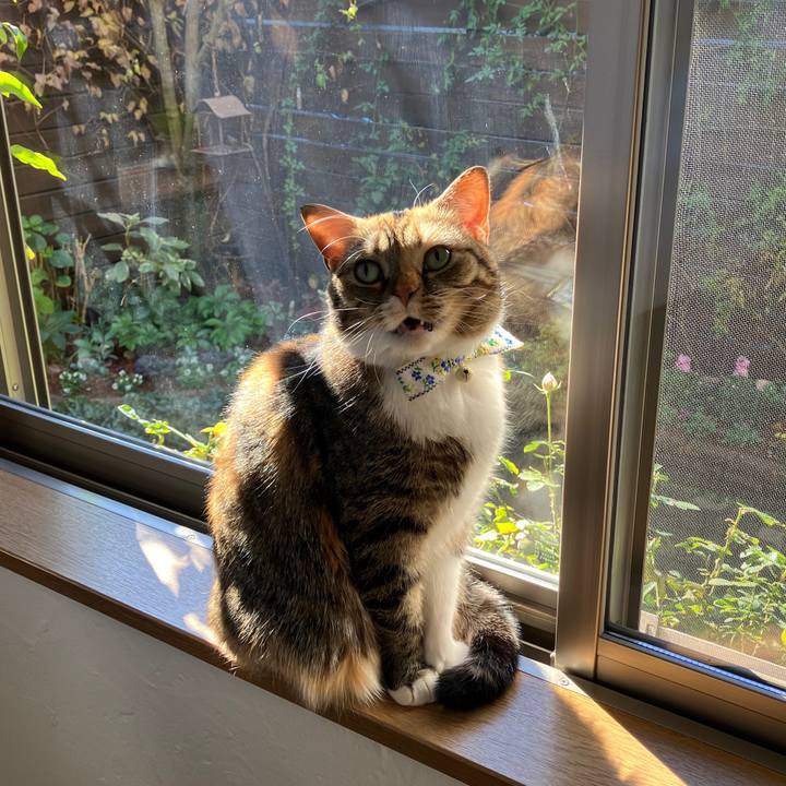 Bd05cf7e 9bf0 4967 b90e 2389c50fccaa 1765761944952