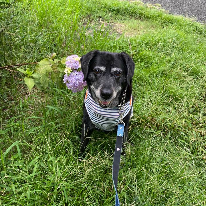 Bd05d4ef 6473 4877 8b52 6dd187a816a4 1695280326704