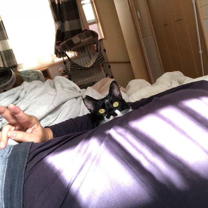 Bd05eb95 c2b1 4a72 a6d4 147a9adfffde 1541694841538