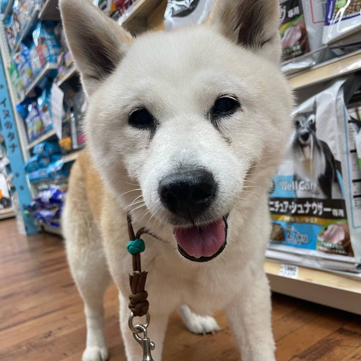 Bd061819 cb65 4886 bf74 0cb743f0bbc7 1719787035105