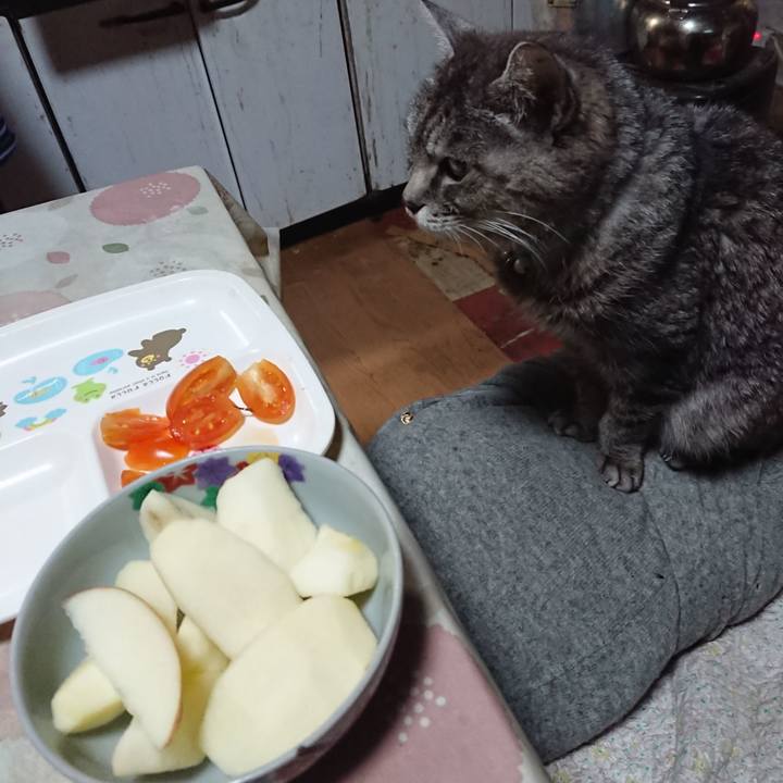 Bd06268a aecb 4f67 9ae4 bd00208d2503 1574892079207