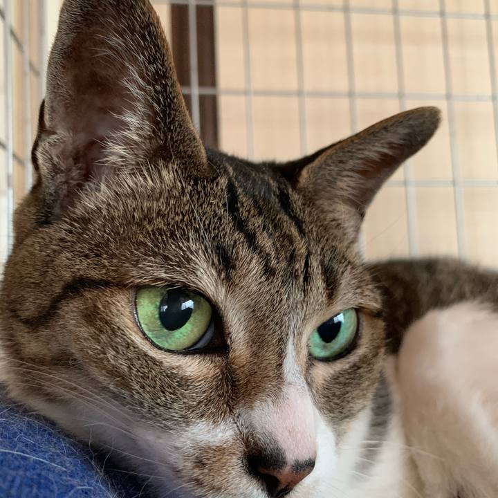 Bd063600 6221 4e56 abbc f0888faa0e65 1593130113861