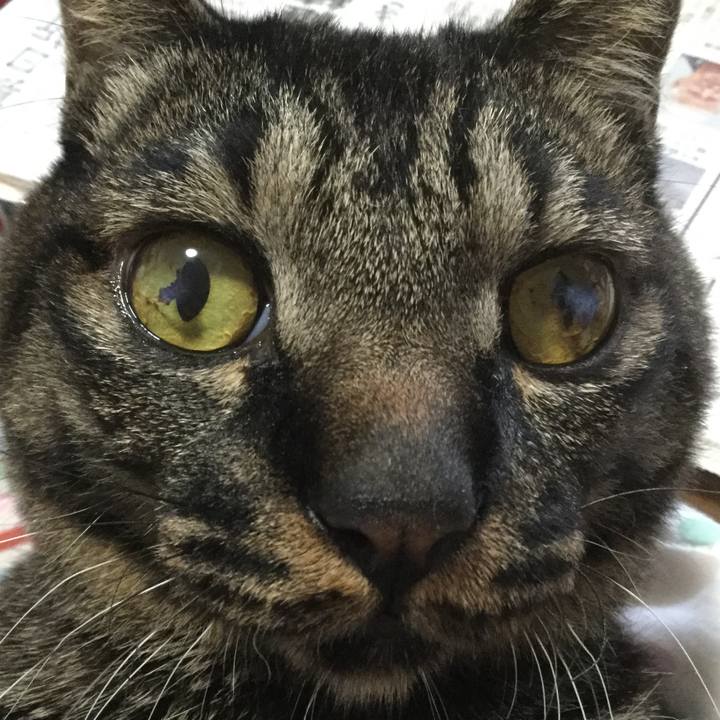 Bd064cd0 072e 4143 848d 4f275bdb6a66 1604448103264