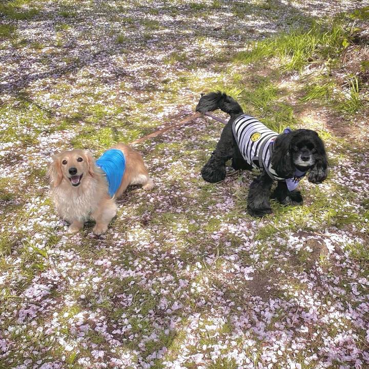 Bd068559 233e 4a19 b482 6d0d7b029704 1713259158584