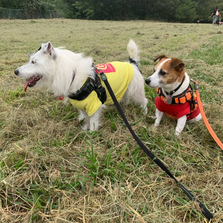 Bd06b6f7 627b 4fce b8b0 785a145eb081 1600217672264