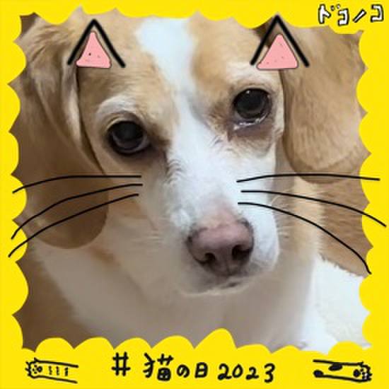 Bd06bf59 d5ce 4028 b134 71ea1fd6eb1c 1677040054504