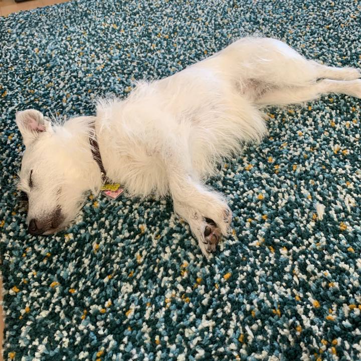 Bd06ce0d ffaa 4d07 bcea 5a16f2f06f29 1656390013139