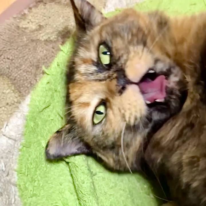 Bd06fc60 9076 48cf b7d6 e0a55ea06bae 1736628084442