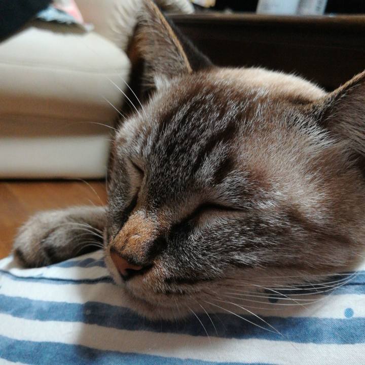 Bd073cd4 af22 4d69 9285 c1da5a688d4b 1568993953367