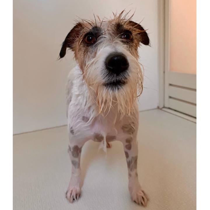 Bd075501 c3a1 4fff af87 0fe3a4bf02fe 1662269059070