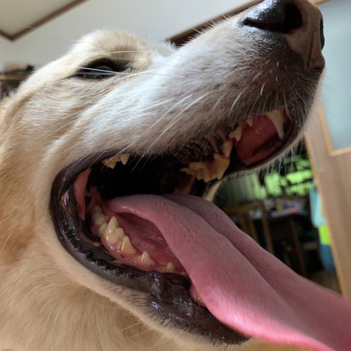 Bd077ed6 ec91 4255 a80a df549fcc74c6 1597934941193