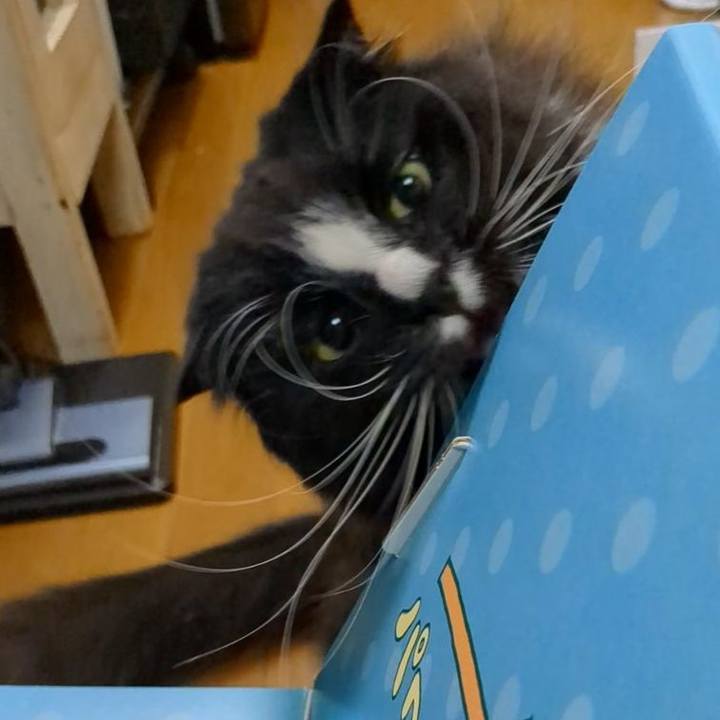 Bd07d9fb 40c6 4783 bf4f 2ad9b2129534 1745061219859