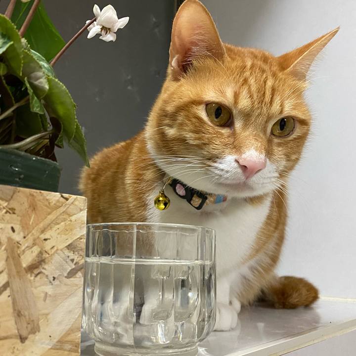 Bd0818c3 a1a0 4cd9 b122 a3c2f1cd9599 1670494180314