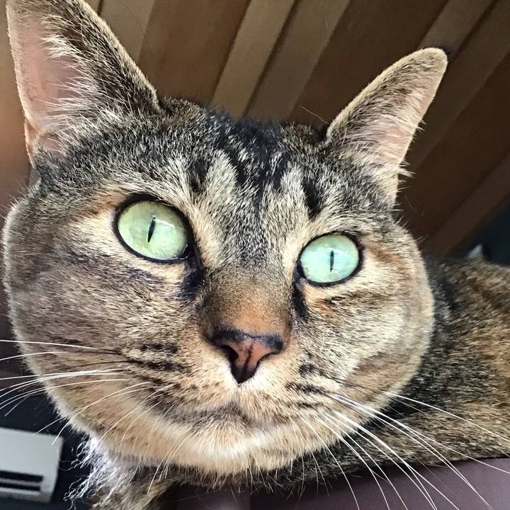 Bd081dc2 befb 4b6b 9864 26186c299cc3 1721295064283