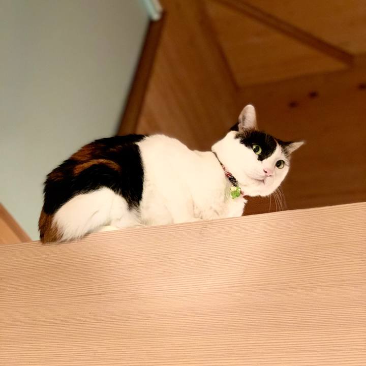 Bd083bbe b378 48e1 a6a3 3f92ce6adfce 1581856777311