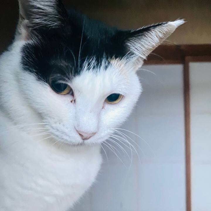 Bd085685 4542 4267 8a35 24f9aab53e16 1669673306369