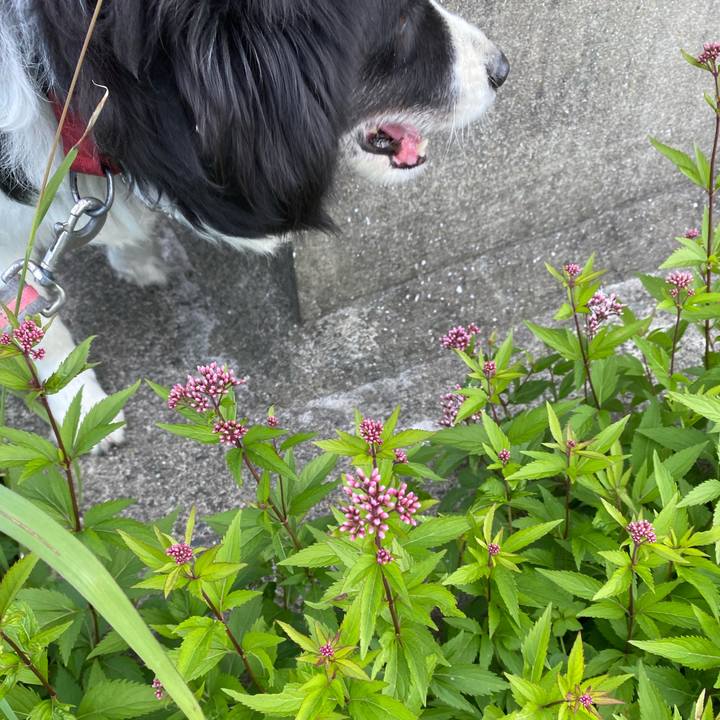 Bd08797a a052 4bda 9102 d87845df33ca 1666399926661