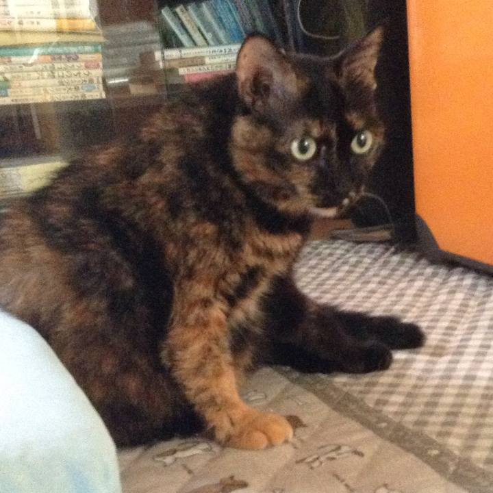 Bd087ef3 694f 4582 b6cf e845ddcbb701 1535247922264