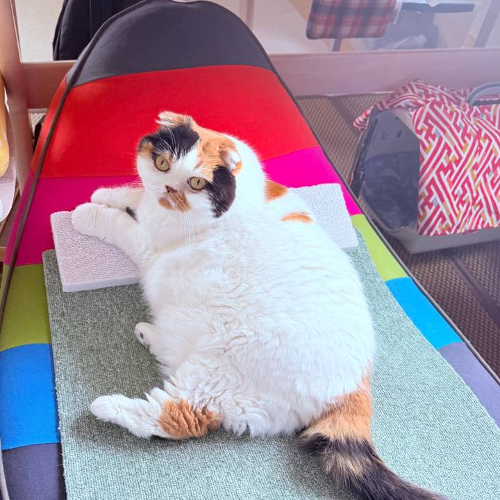 Bd087f3c afae 4fb9 937c f4aa07fab0a0 1751519016931