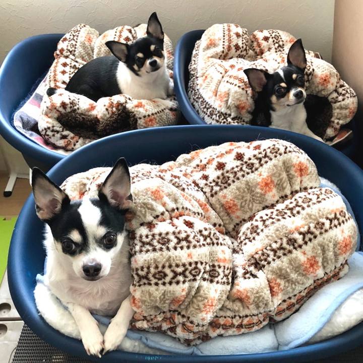 Bd0894e5 d2e4 4f14 9a2a 5d16d02fe751 1542329760447