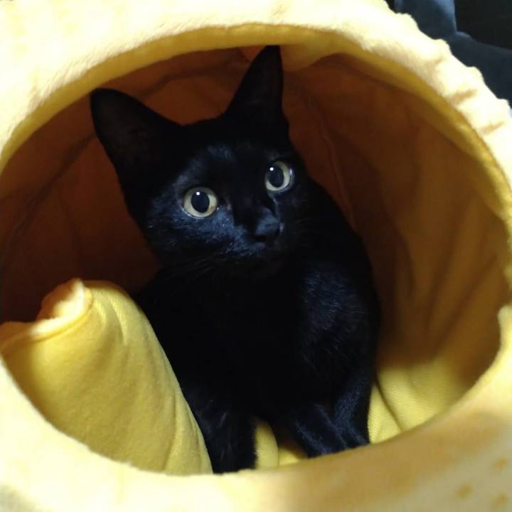 Bd08a0bf 3f01 48c5 91ed 65329bfa901f 1660196809070