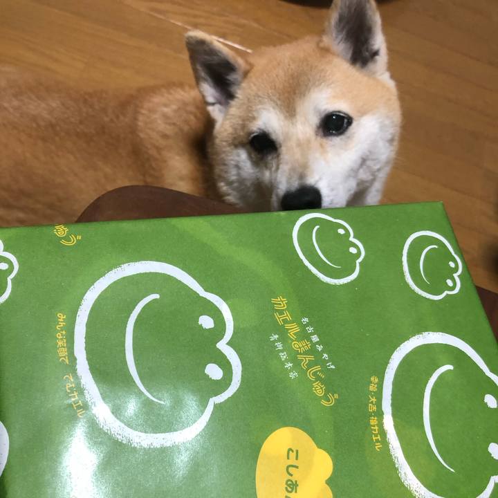 Bd08a3d1 aaaa 4042 b70f 4b3d08b126d8 1595160963059