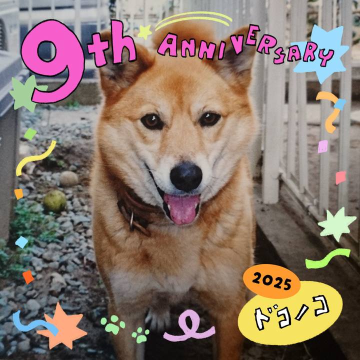 Bd08a980 4bbe 4027 aa83 083392e34827 1749353024677