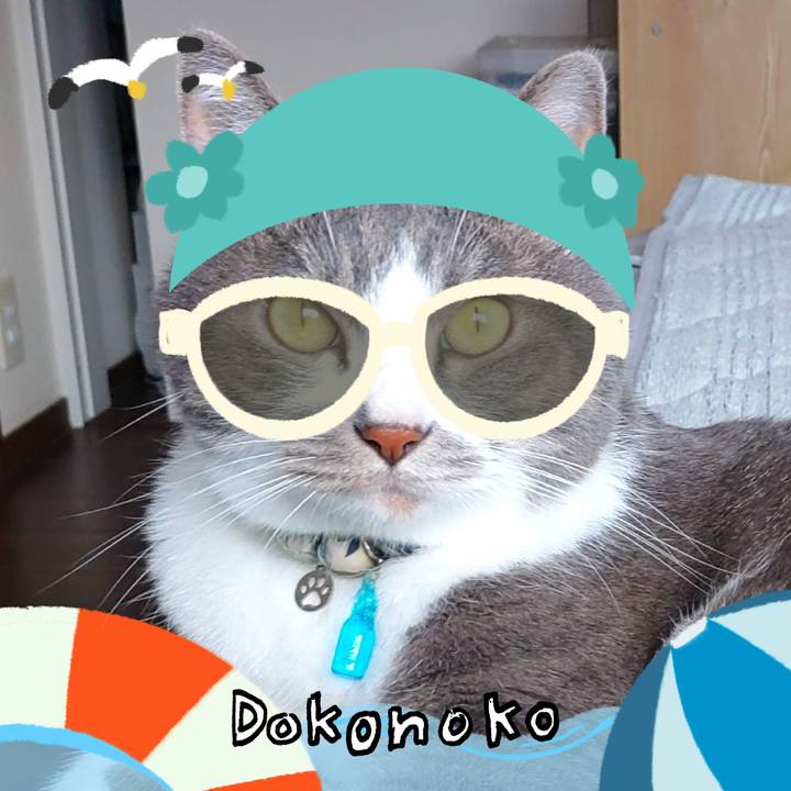 Bd08b287 e5f1 4db4 97c9 736d61b13fad 1723181546287