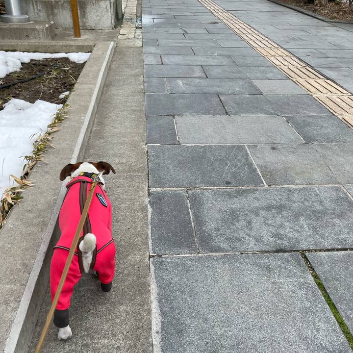 Bd08c4f4 10d2 4317 9bb9 ab225c49fde8 1644729110214