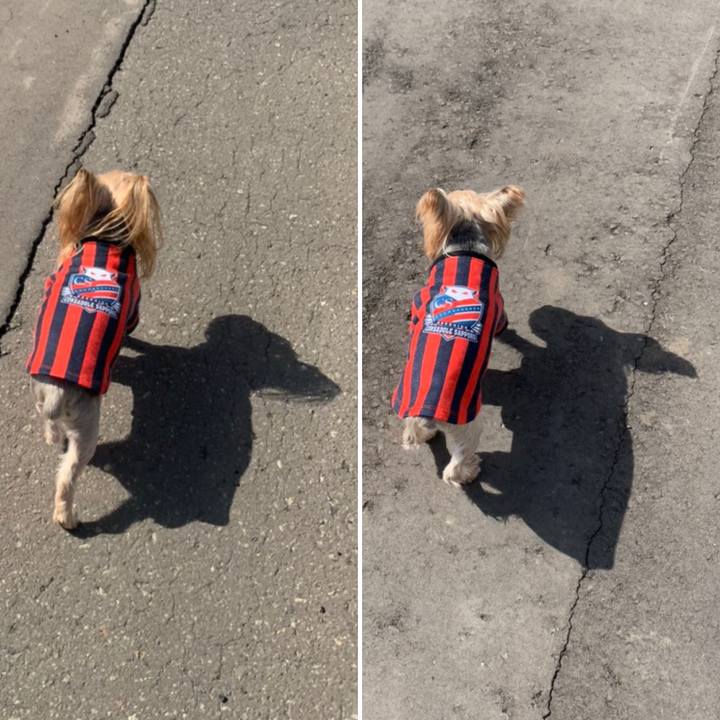 Bd08dfdd 5ce1 4efa a888 7aabf6c11138 1616664360338