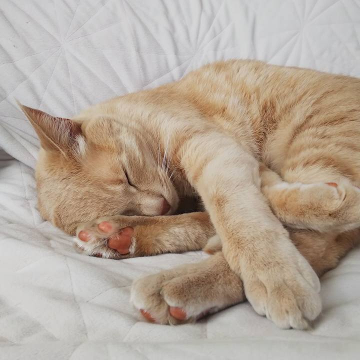 Bd08e799 ff0b 43e9 9759 d7423df9c586 1624174021174