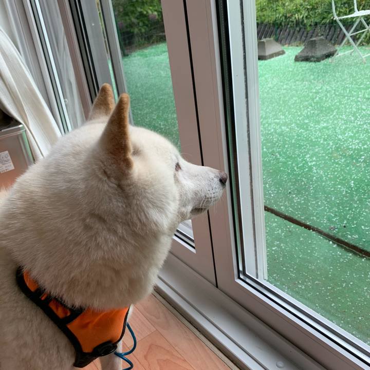 Bd0915dc a5be 47d3 b573 57d9a2e2b53f 1666055913233