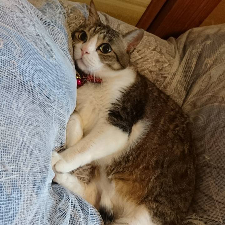 Bd0955c5 f2c7 4030 bbdb 4f4d01737193 1528670244367