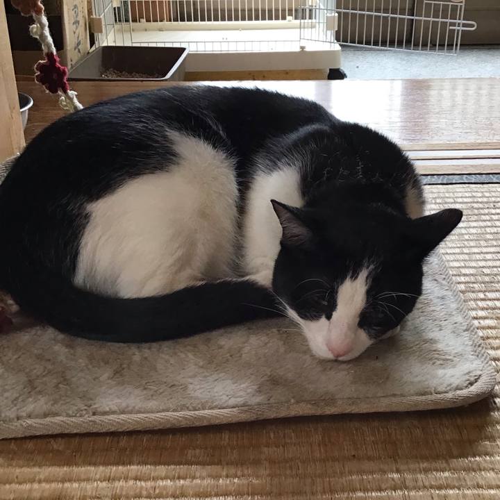 Bd0965d5 c45c 4c1e 8915 23e5a6a91597 1651137727861