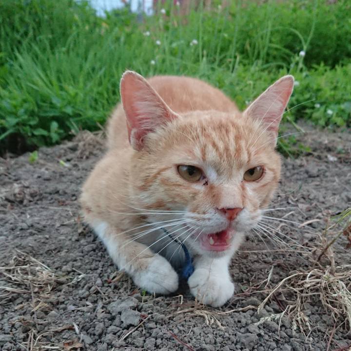 Bd09b38a e7ec 4ebc 9d6a f89559621415 1559556223637