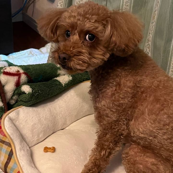 Bd09cfc3 7c2b 4f80 b5e2 ffc720b887d8 1668320173367