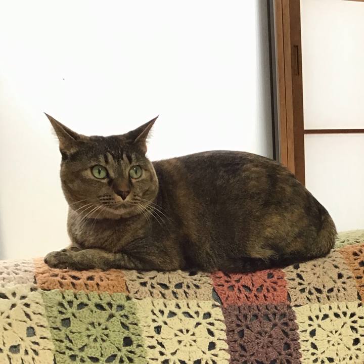 Bd09dd56 f088 4303 99c8 9dea3c9b8e66 1731329405239