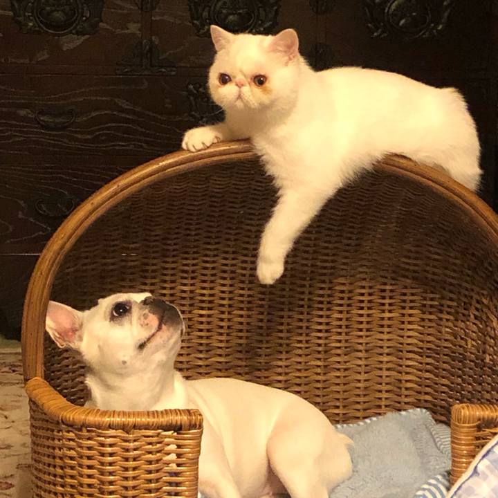 Bd09e601 8810 4891 a0c2 9bfadb434eae 1559486265462