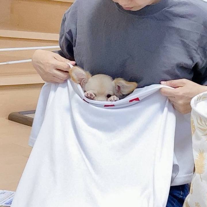 Bd0a0efa 58da 47ec 9483 76efee4a7bc1 1752552210522