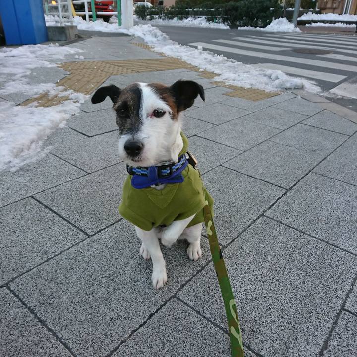 Bd0a1300 2c95 4c82 866d b6e043f979c6 1516832241315