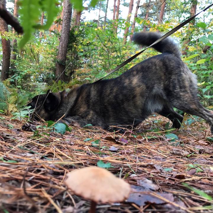 Bd0a173c f2d3 4812 8c6f 2e2be3ba263f 1572764034234