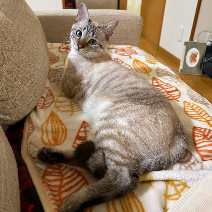 Bd0a452f a4a3 4179 8909 f49c97b16f31 1763625451846