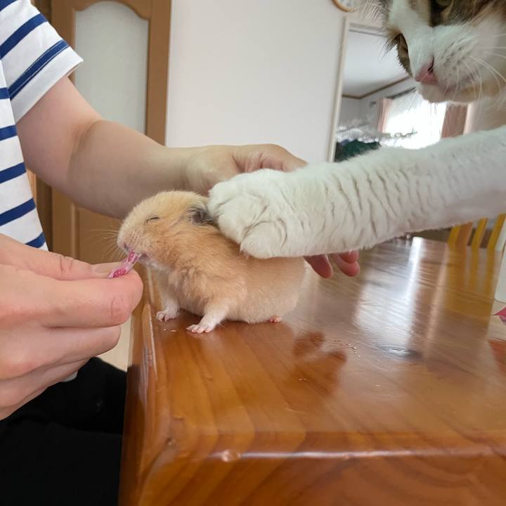 Bd0a63fb 7838 4caa ae69 9c0533e1903d 1659559882630