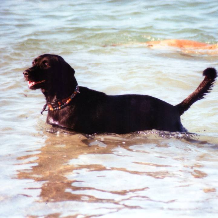 Bd0a7639 7920 45b1 8a96 f27ca7f2b7b9 1519690423836