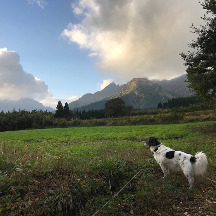 Bd0a77d1 b1cd 45e2 8237 6d72c89298f5 1509265849717