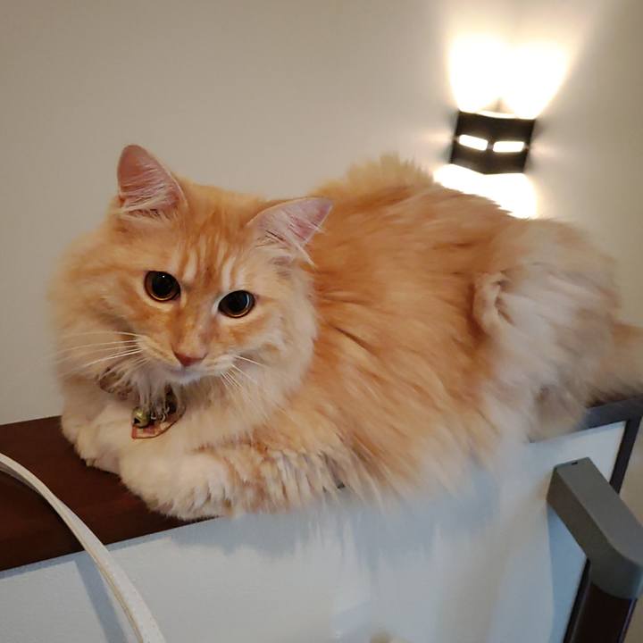 Bd0a957b 5592 4438 953e acdf5ab96f98 1690841995057