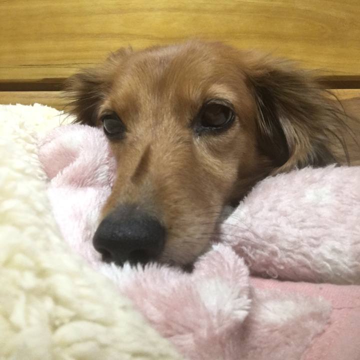 Bd0ae30c 8583 4a58 8455 309760cb84aa 1543844756695