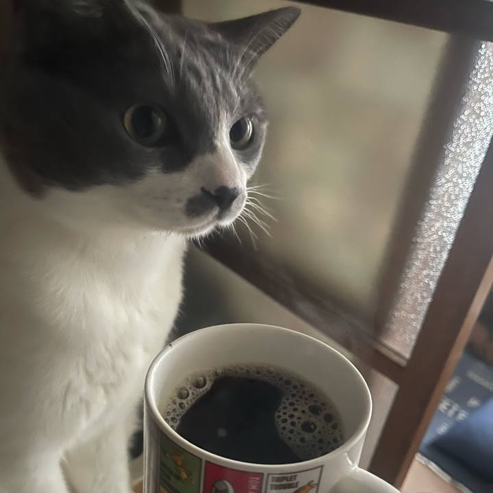 Bd0b080b ae57 4a84 b1be 0778dbfbe1f7 1738476034946