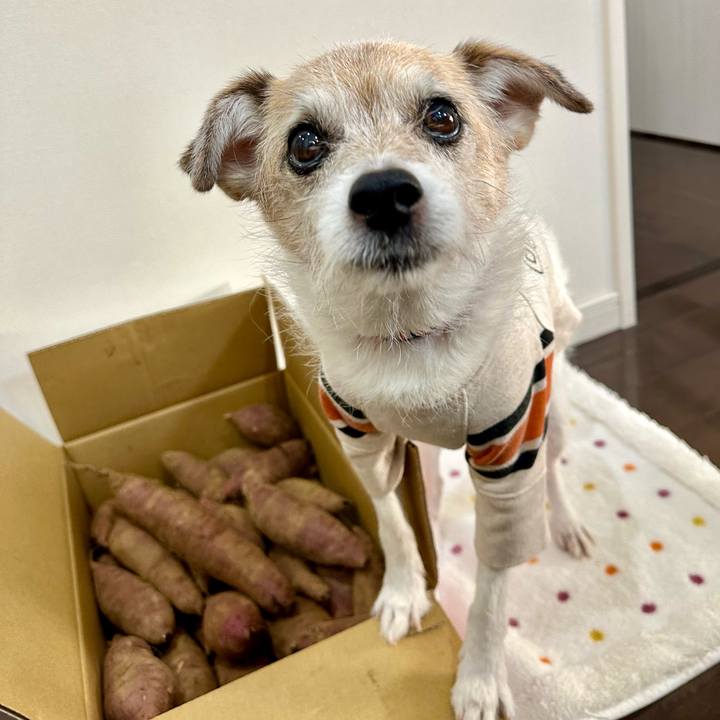 Bd0b3d8e 5de5 4ce9 a609 560be333d60a 1701236741502