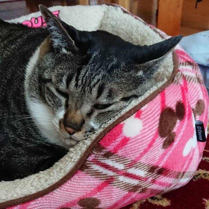 Bd0b6313 657e 4e30 97c3 4a2f34283eb8 1523969623865